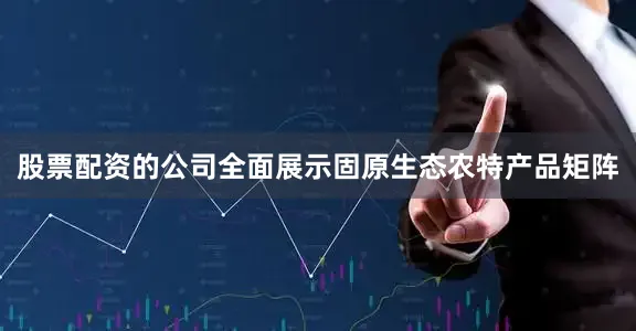 股票配资的公司全面展示固原生态农特产品矩阵