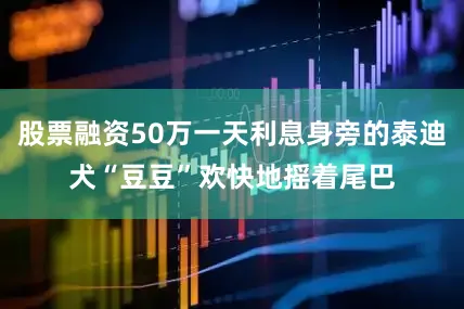 股票融资50万一天利息身旁的泰迪犬“豆豆”欢快地摇着尾巴